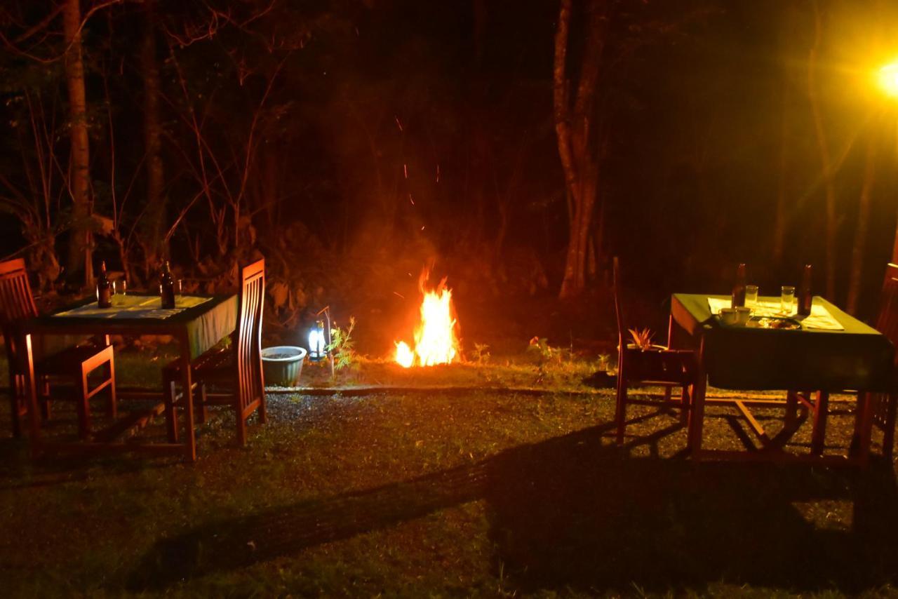 اوداوالاوي Little Ele Safari Lodge المظهر الخارجي الصورة