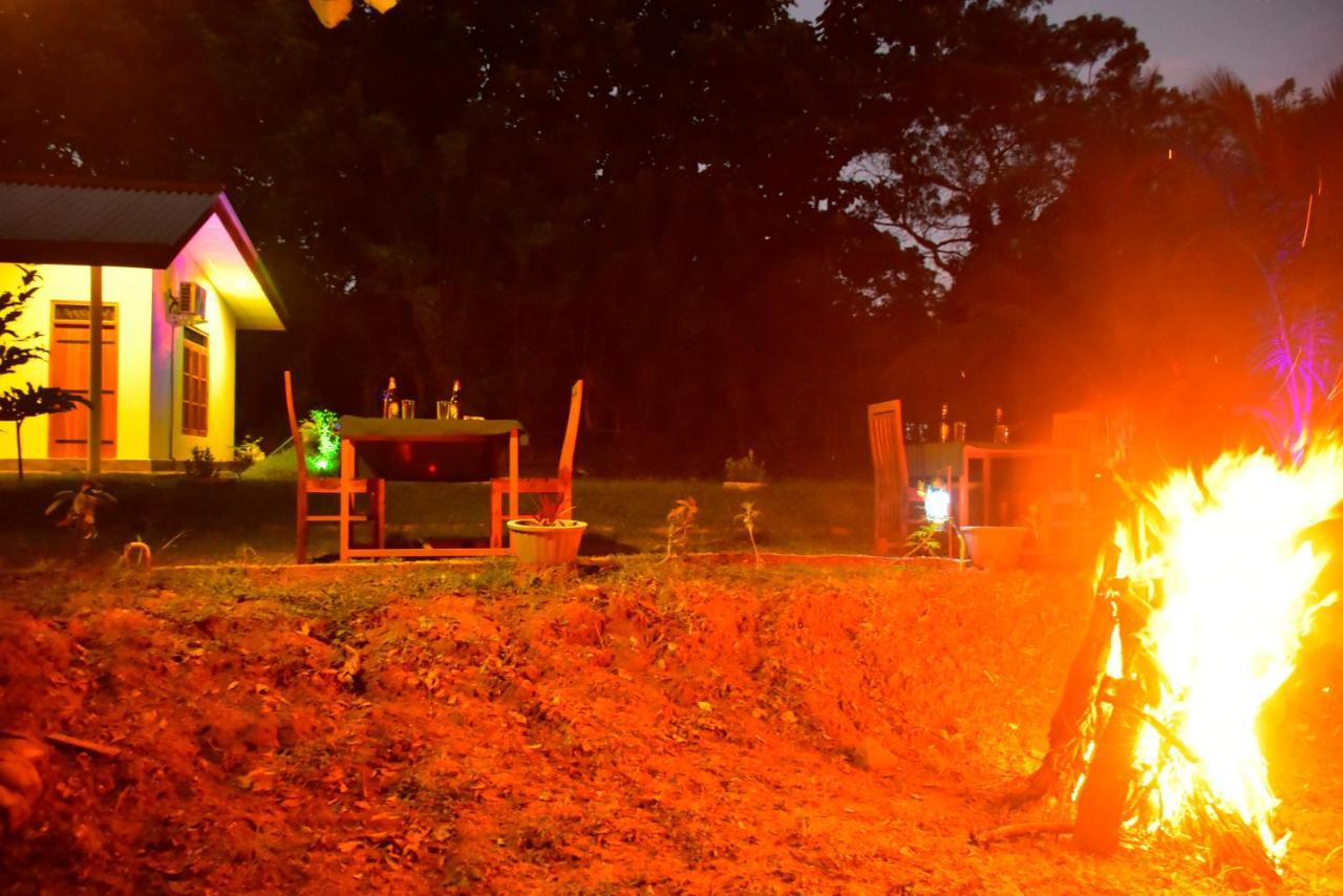 اوداوالاوي Little Ele Safari Lodge المظهر الخارجي الصورة